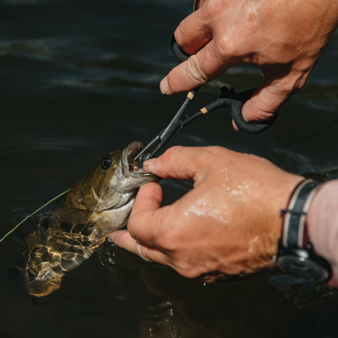 River Stats 5 Inch Fly Fishing Forceps