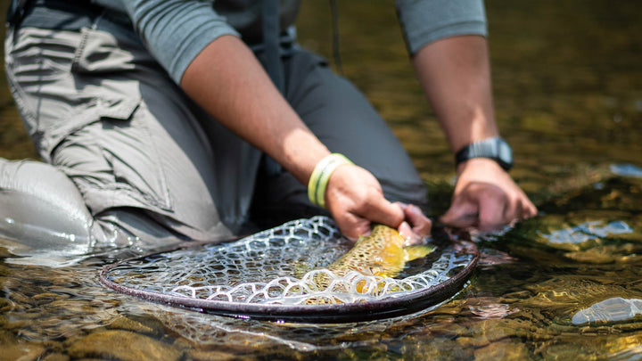 5 Most Important Things I Learned When I Started Fly Fishing