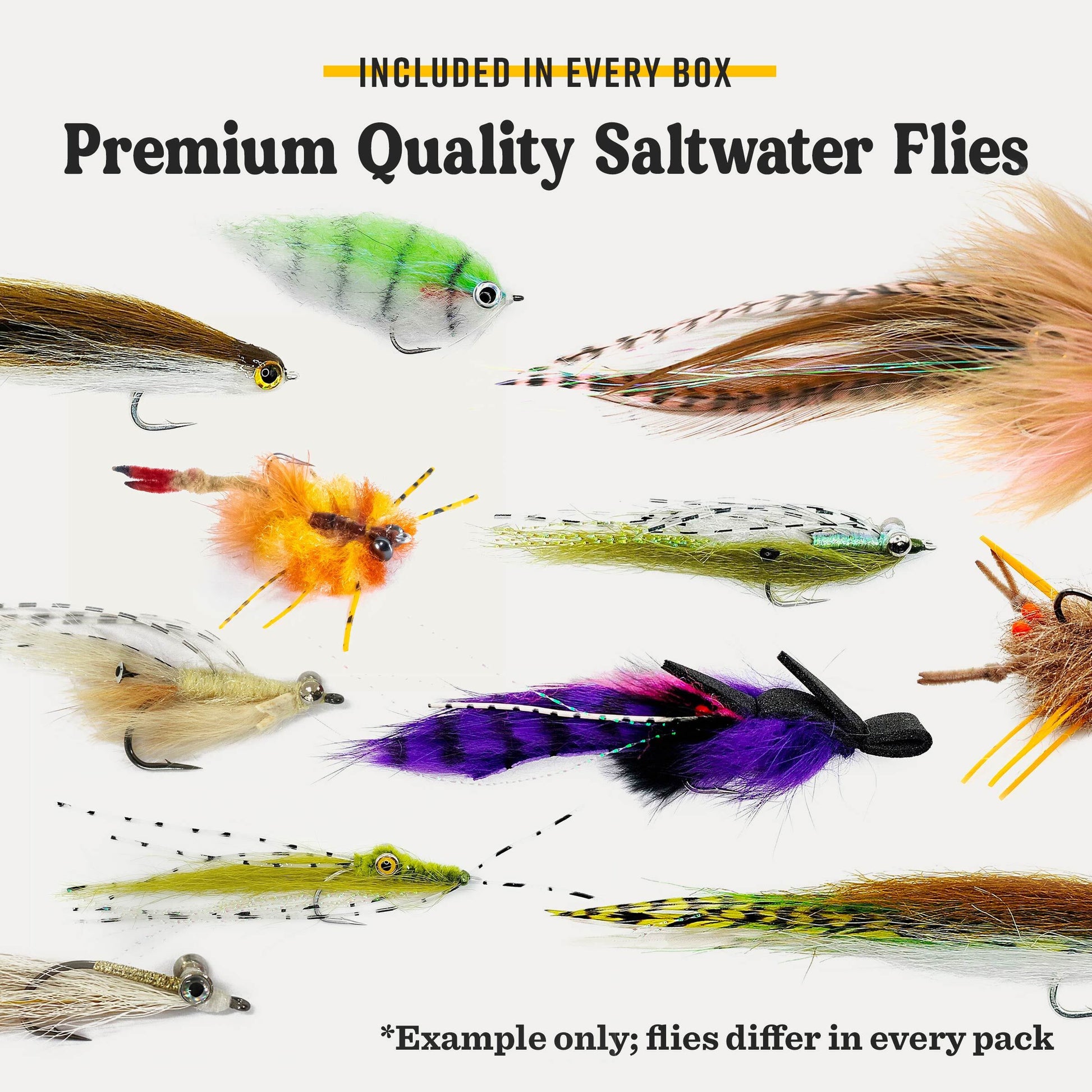 Postfly Fly Fishing Saltwater Box, No Size, Multi