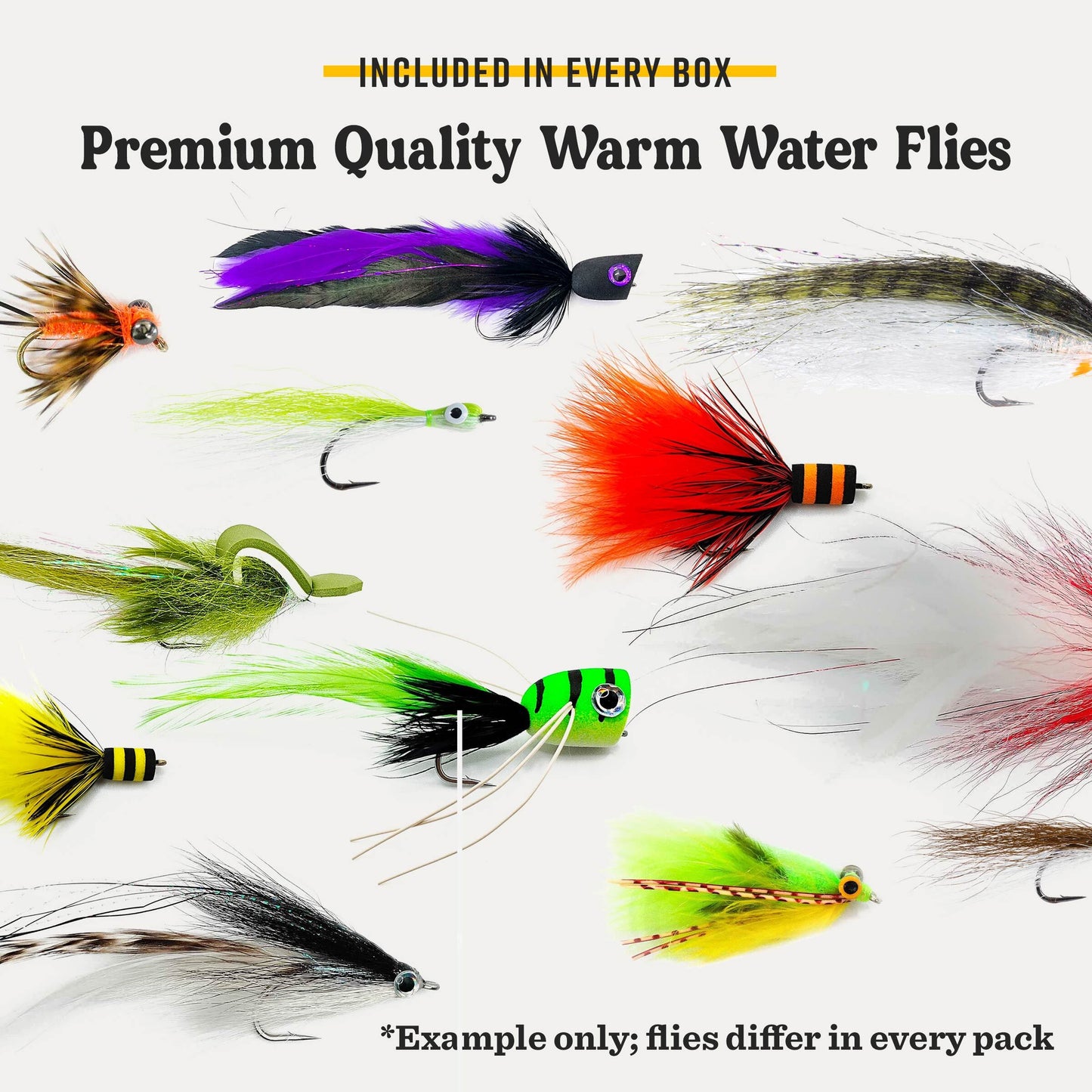 Warmwater Fly Assortment Box