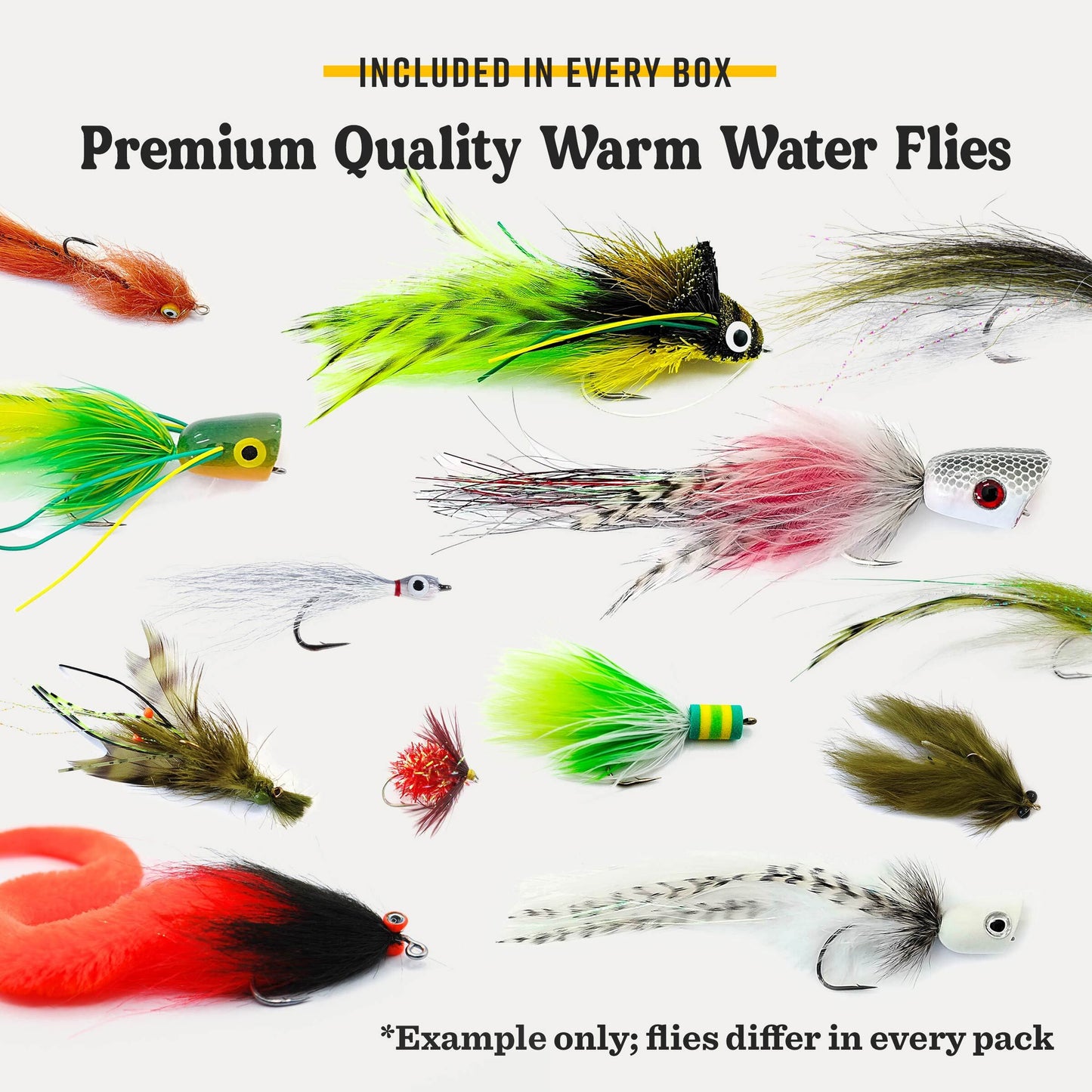 Warmwater Fly Assortment Box