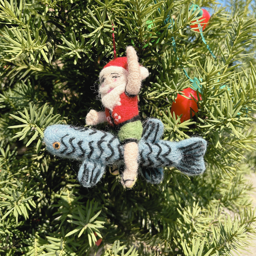 2025 Mystery Holiday Gift