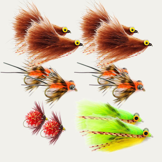 Ultimate Warmwater Fly Assortment Gift Bundle