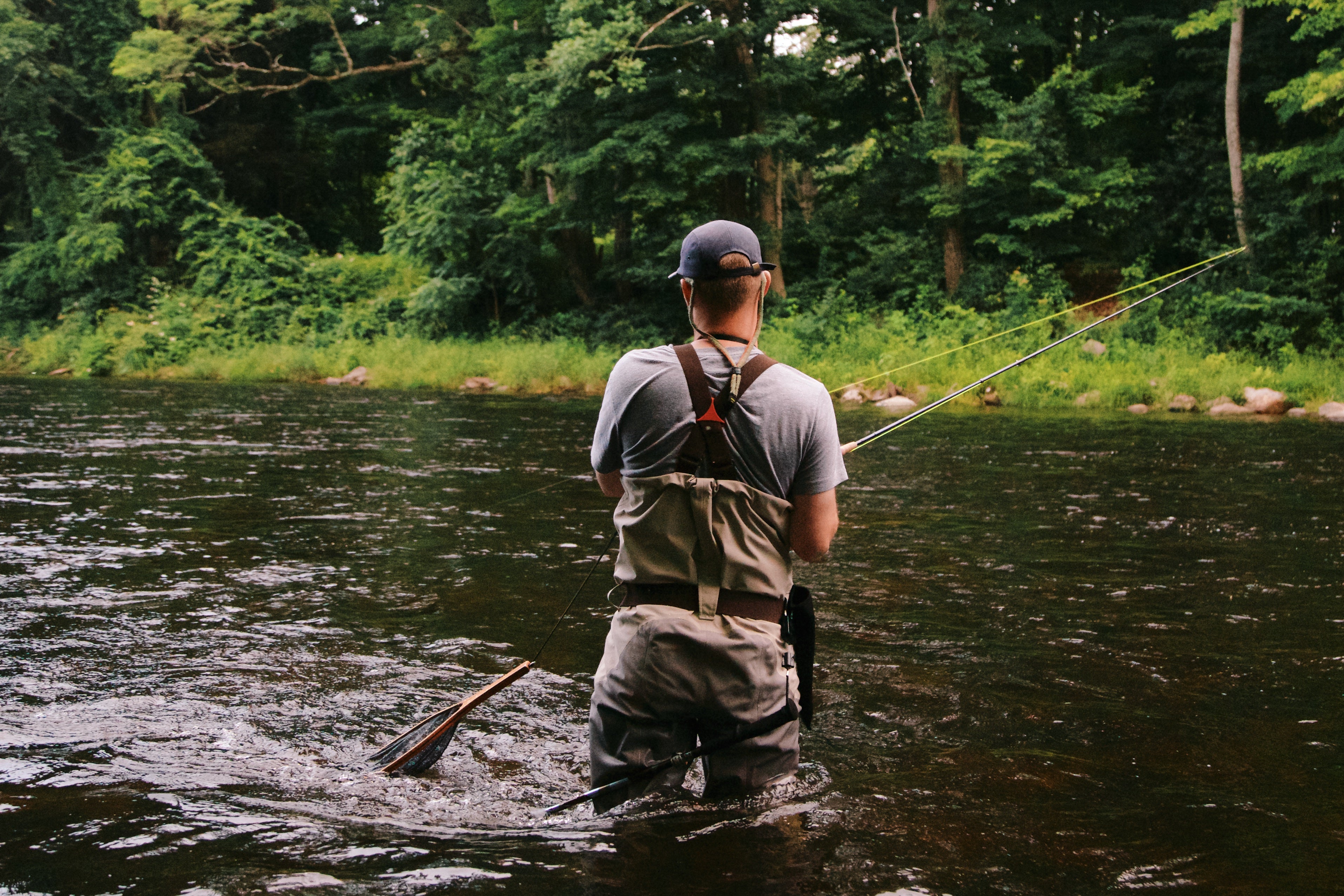 Early Season Stonefly BugCycle Fly Assortment – Postfly