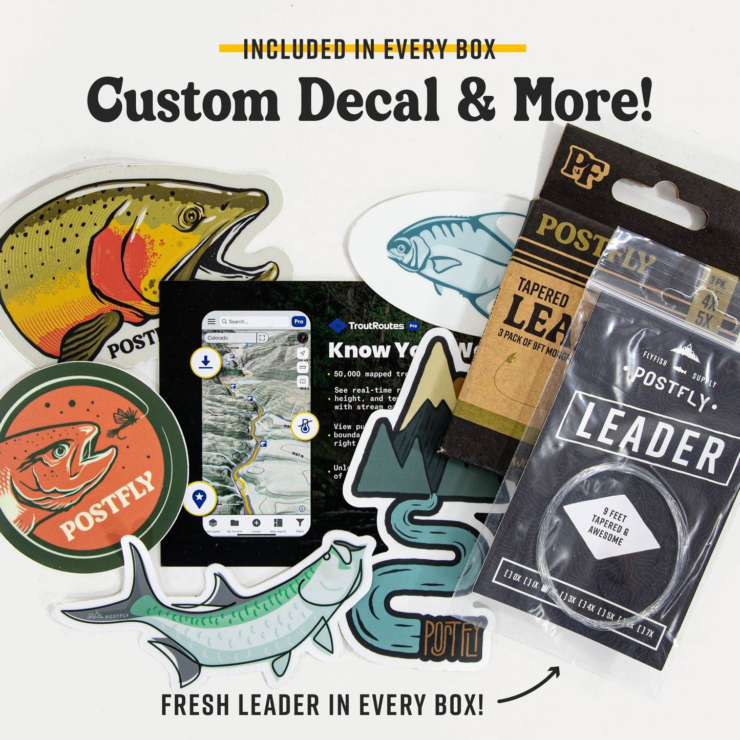 Monthly Trout Fly Box