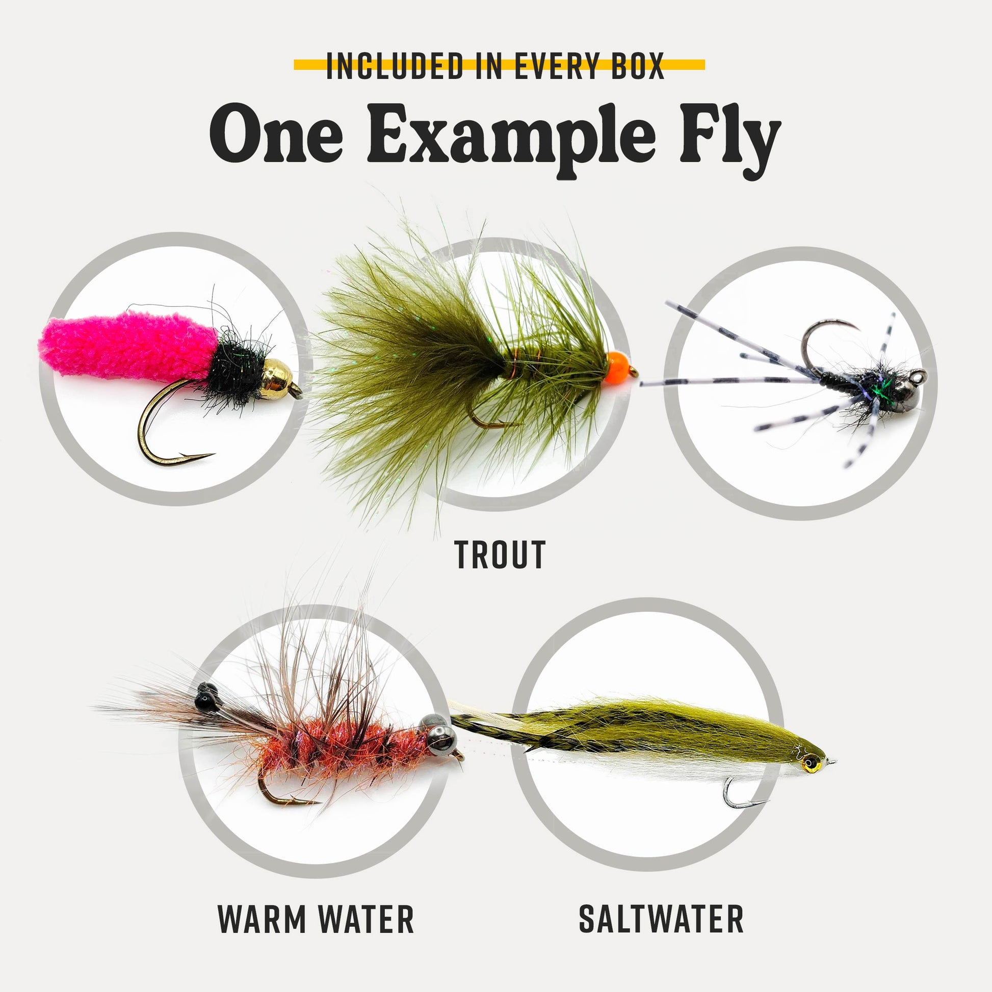 Fly Tying Kit Plans Fly Tying Kit Plans