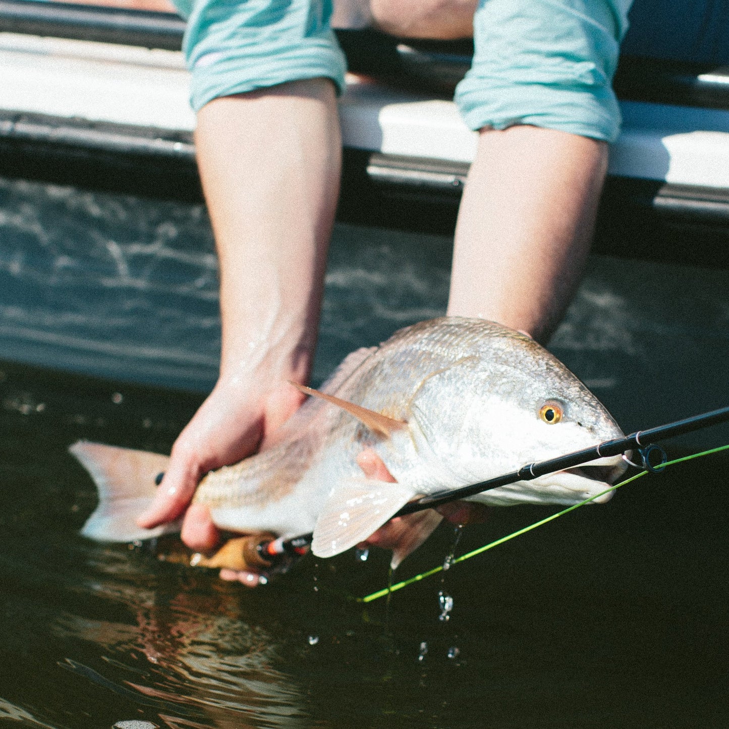 The Streamer Express Fly Rod